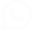 WhatsApp Icon